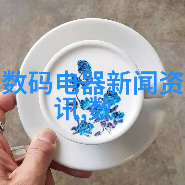 石墨环供应石墨密封环石墨填料环- 柔性石墨垫片